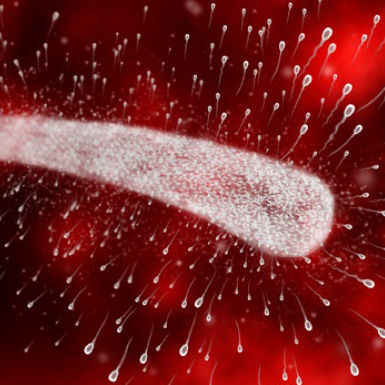 Sperm Vital Teknolojisi